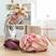 Picture of Storage Bag PINK ELEPHANT by ALLC